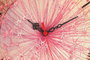 Wallity Reloj Decorativo de MDF Multicolor 3030MS-081